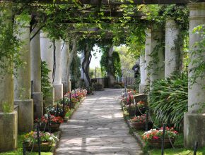 San Michele - CAPRI Italien 2014