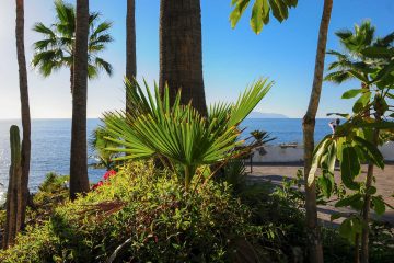 Playa de las Americas - TENERIFFA Spanien 2013