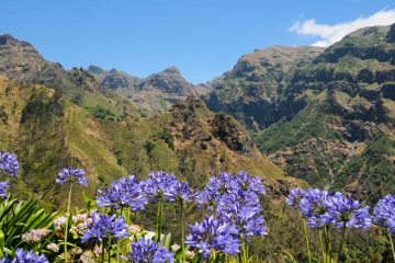 Madeira