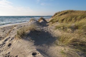 Hagestads naturreservat - Österlen 2020