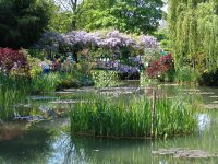 Monet's garden - GIVERNY Frankrike 2006