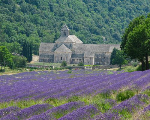 1100-talsklostret Notre-Dame de Sénanque - PROVENCE Frankrike 2010